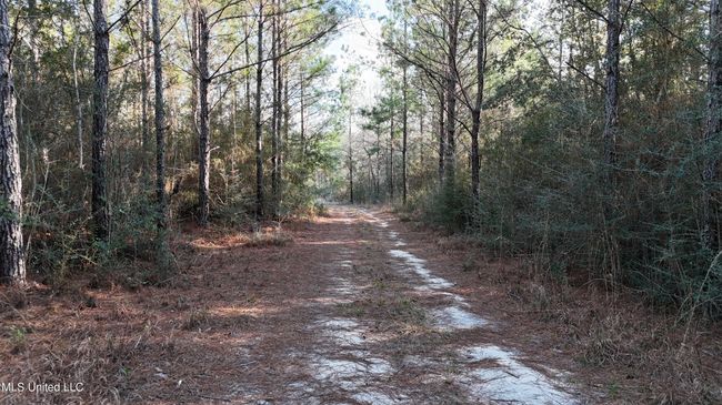 Trails 40 | Image 14