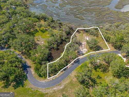 LOT 226 Coopers Landing Dr Ne, Townsend, GA, 31331 | Card Image