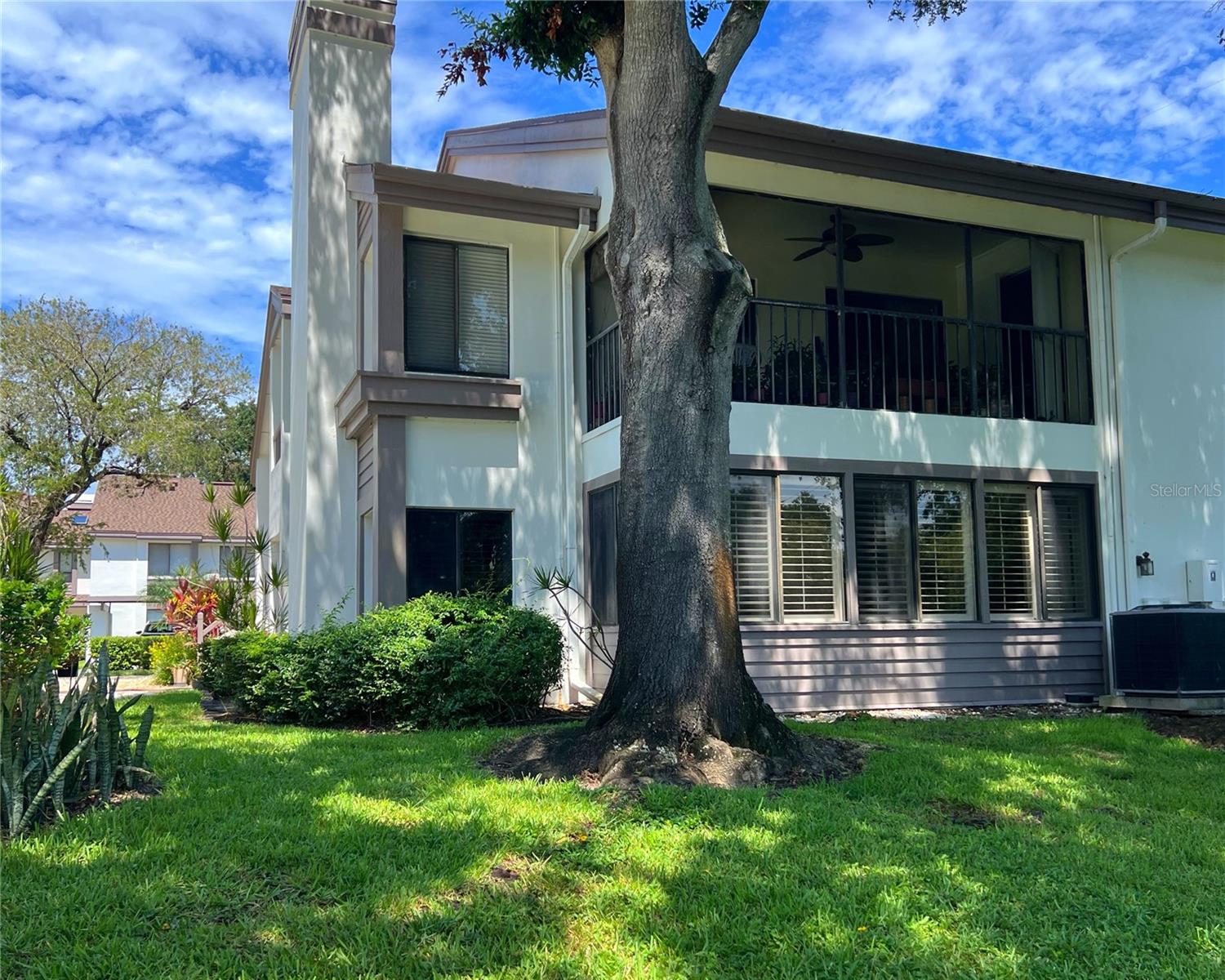 Lake Cypress Dr, Safety Harbor, FL 34695