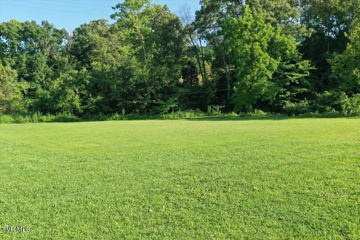 Land in Rogersville 3