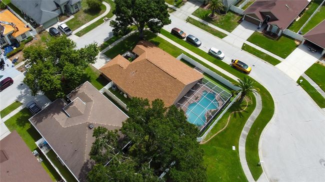 28826 Windover St, House other with 4 bedrooms, 2 bathrooms and null parking in WESLEY CHAPEL FL | Image 76