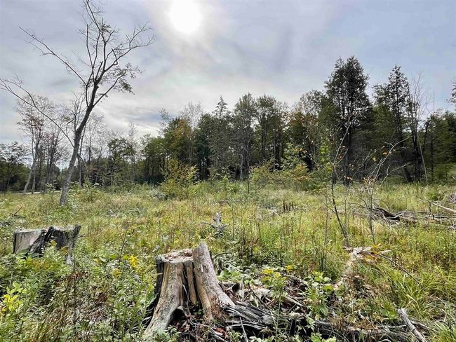 2209 Underpass Rd, Home with 0 bedrooms, 0 bathrooms and null parking in Sutton VT | Image 10
