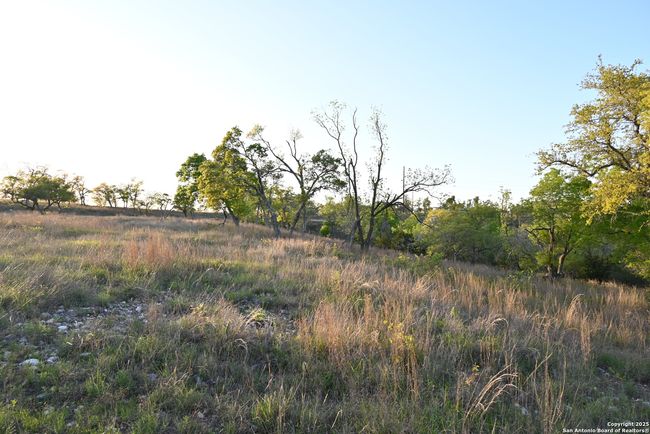 130 Falling Leaves Ct, Home with 0 bedrooms, 0 bathrooms and null parking in Blanco TX | Image 17