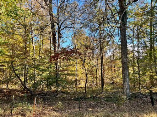 Lot 16 Gainesville Port Oliver Rd, Scottsville, KY, 42164-9247 | Card Image