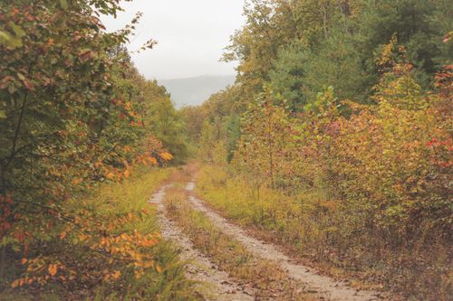 0 Green Ridge Trl, Oakdale, TN, 37829 | Card Image