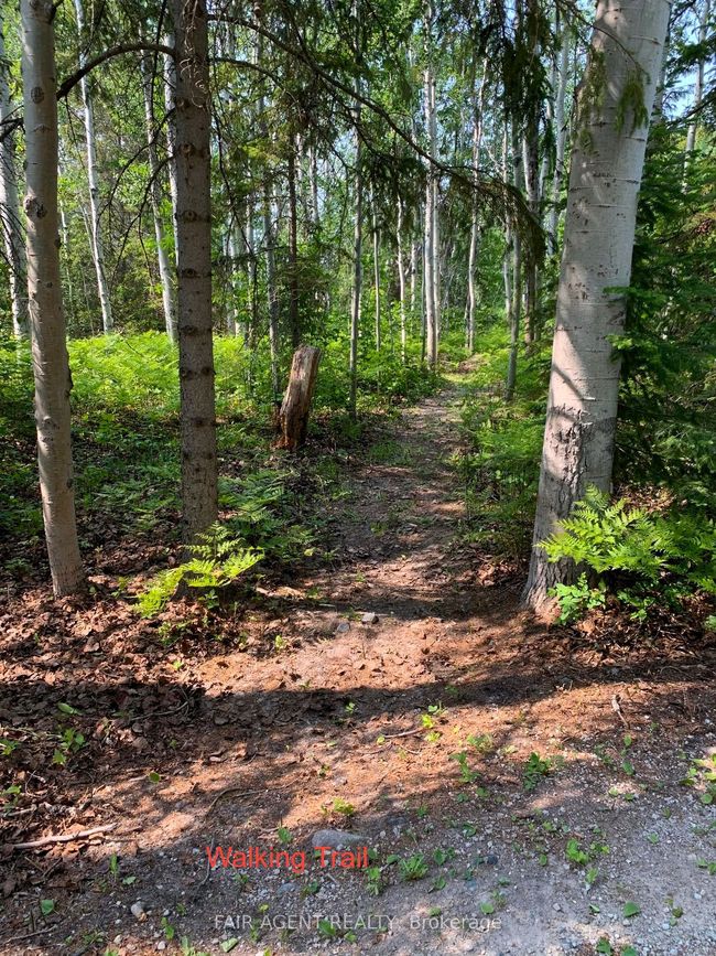 975140 Silver Centre Rd, House other with 4 bedrooms, 2 bathrooms and 10 parking in North Cobalt ON | Image 33