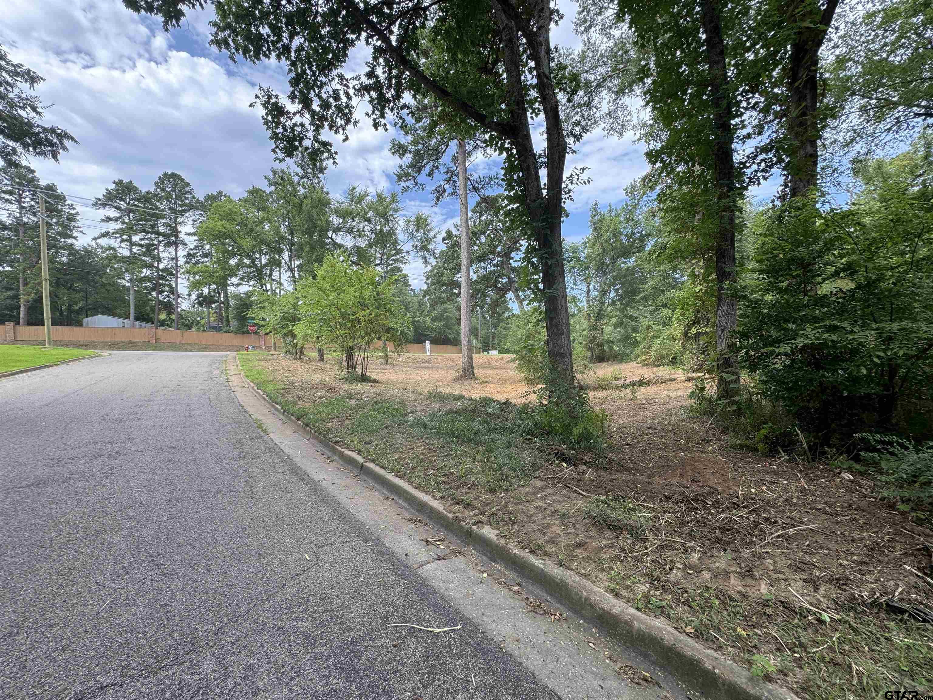 Land in Tyler 4
