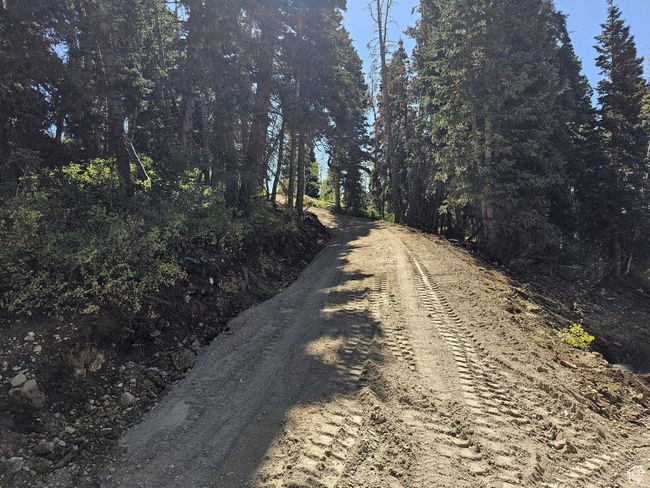 View of road | Image 14