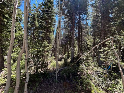 713 S Paintbrush St, Brian Head, UT, 84719 | Card Image