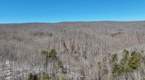 tbd Westminster Rd, Millboro, VA, 24460 | Card Image