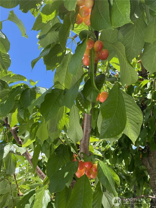 543 Jack Wells Road, Bridgeport, WA, 98813 | Card Image