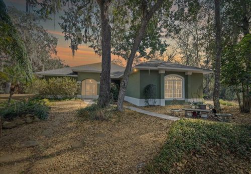 16731 Se 181st Ter, WEIRSDALE, FL, 32195-3304 | Card Image