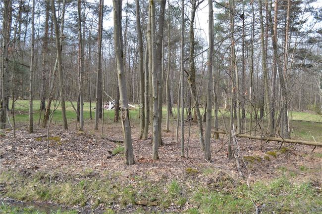 23 Horse Shoe Bend Rd, Home with 0 bedrooms, 0 bathrooms and null parking in Acme PA | Image 9