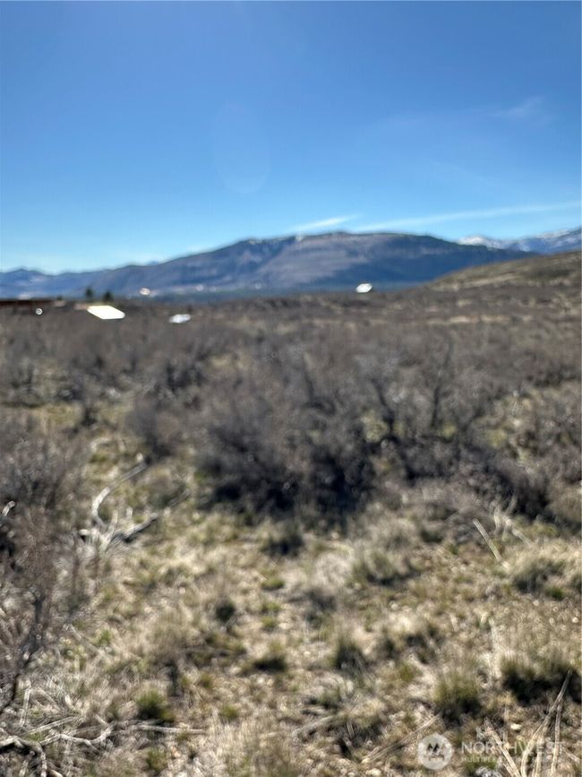 81 W Chewuch Rd, Home with 0 bedrooms, 0 bathrooms and null parking in Winthrop WA | Image 25