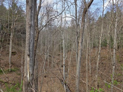 999999999 D St, Louisa, KY, 41230-5645 | Card Image