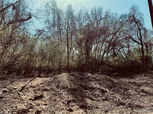 10726 Ridge Ave, Saint Louis, MO, 63114 | Card Image