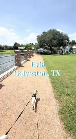 Land in Galveston 3