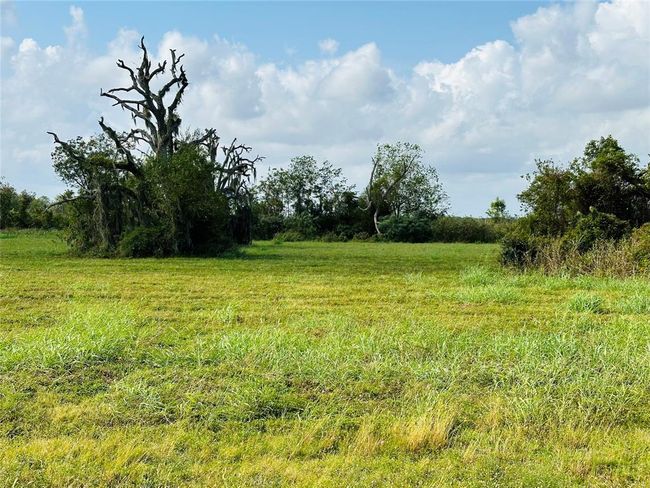 274 Pony Trl, Home with 0 bedrooms, 0 bathrooms and null parking in Angleton TX | Image 6