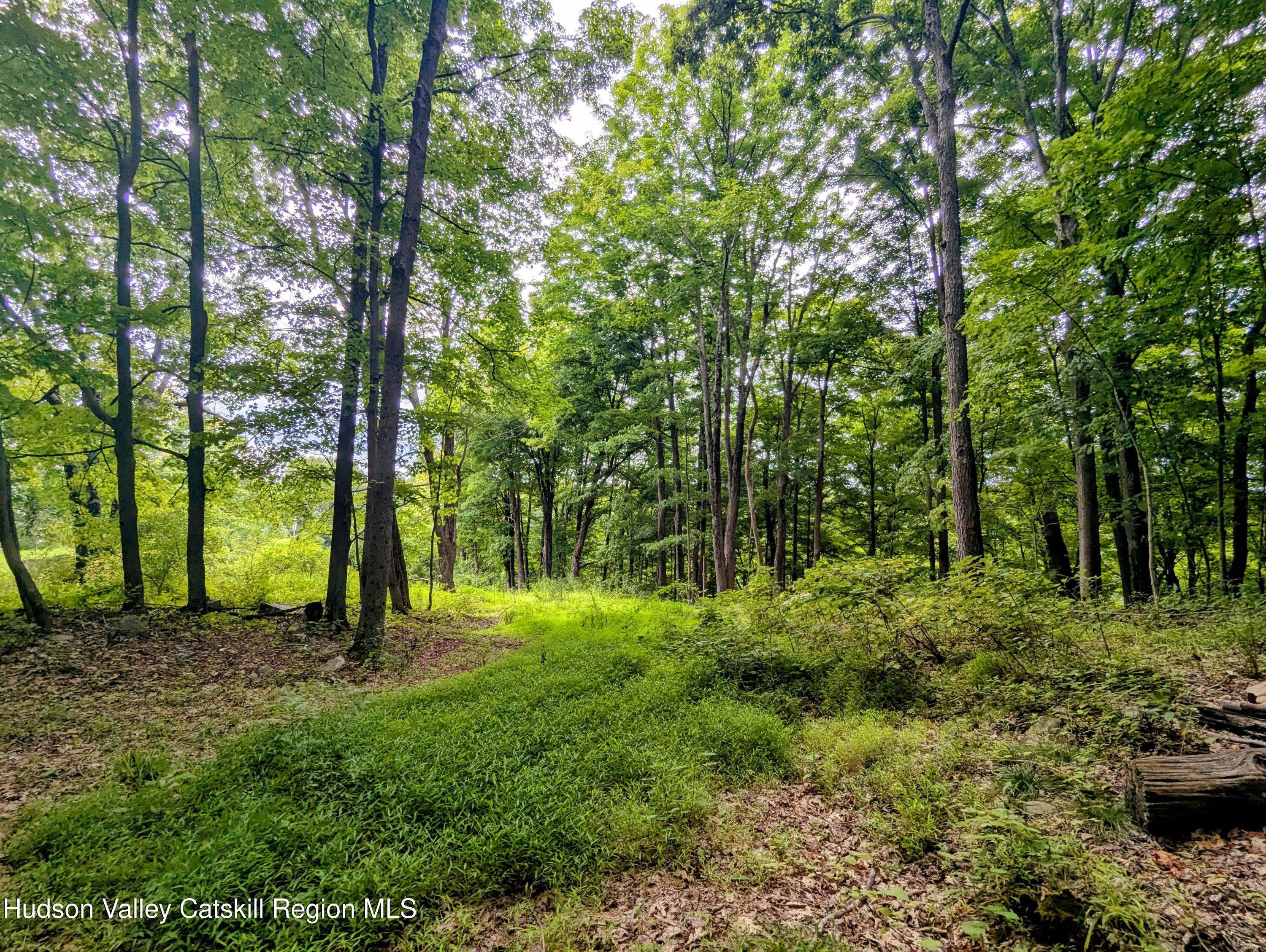 Land in New Paltz 3