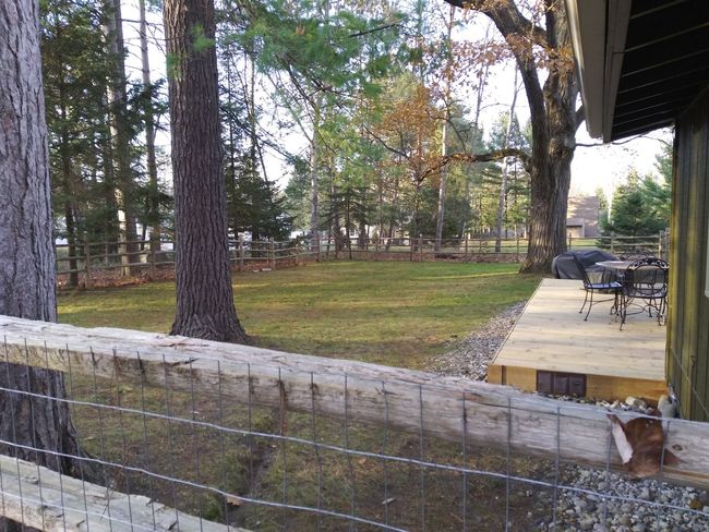 Back Yard | Image 52