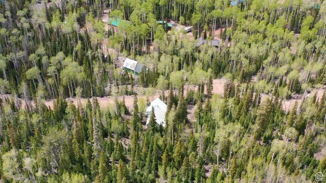 Aerial view of property's location featuring a heavily wooded area | Image 59