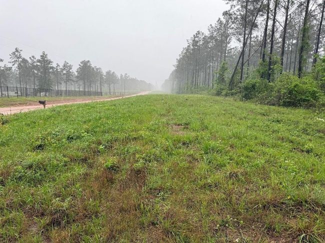 0 Richardson Rd E, Home with 0 bedrooms, 0 bathrooms and null parking in Livingston TX | Image 38