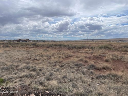 29 County Road 6010, Saint Johns, AZ, 85936 | Card Image