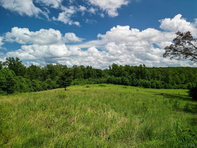 0 Allens Creek Rd, Home with 0 bedrooms, 0 bathrooms and null parking in GLADSTONE VA | Image 26
