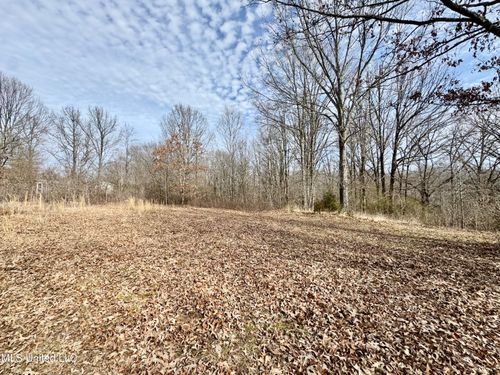 198 Tolbert Rd, Coldwater, MS, 38618-6003 | Card Image