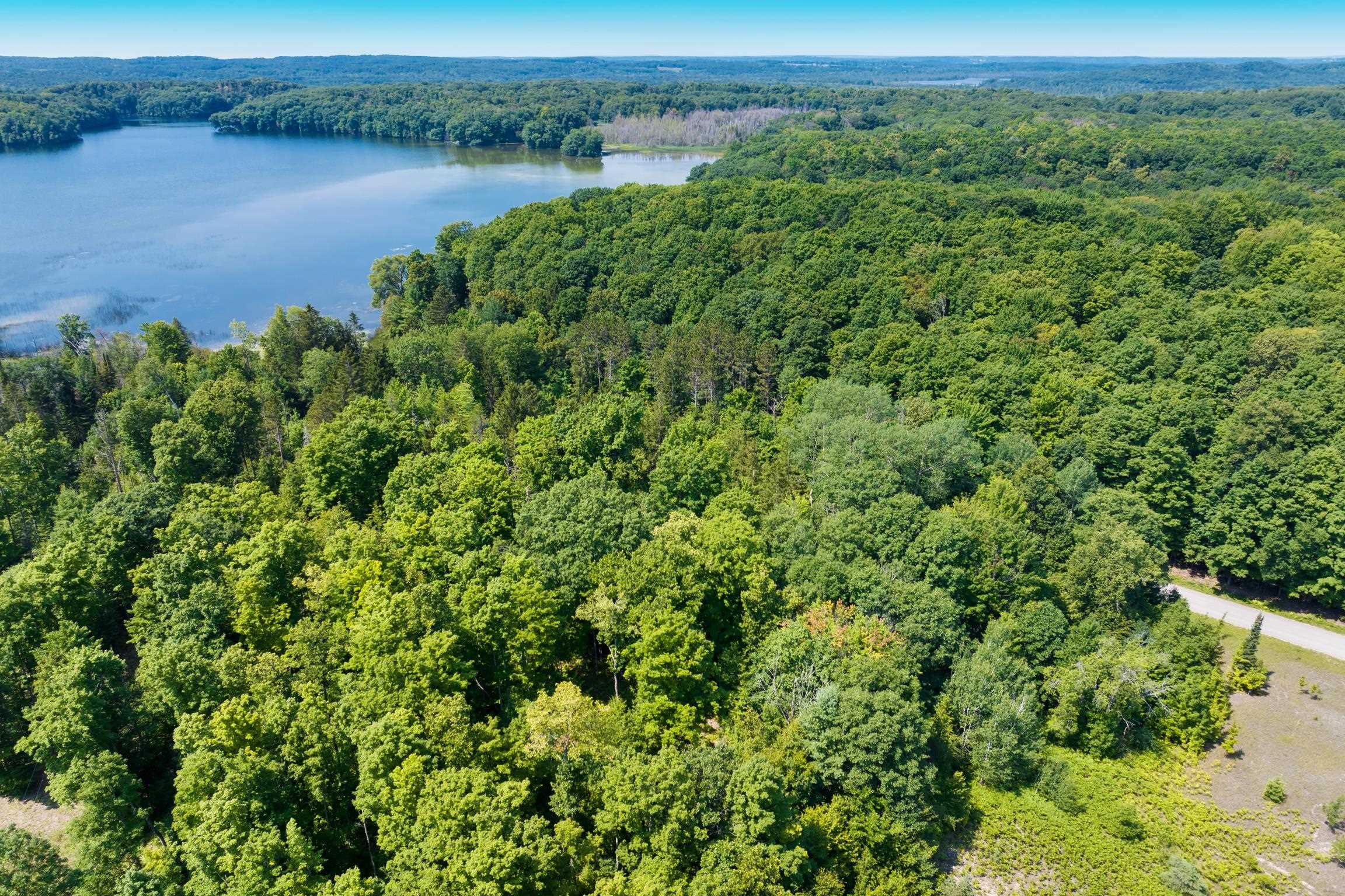 Land in Custer Township 4