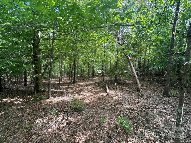 5630 Woodsferry Rd, Home with 0 bedrooms, 0 bathrooms and null parking in Carlisle SC | Image 20