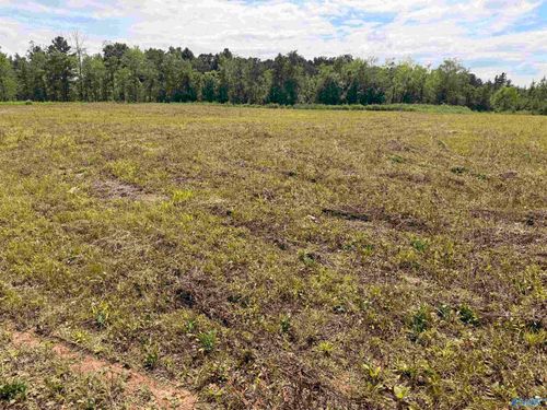 Lot 48 County Road 32, Piedmont, AL, 36272-4769 | Card Image