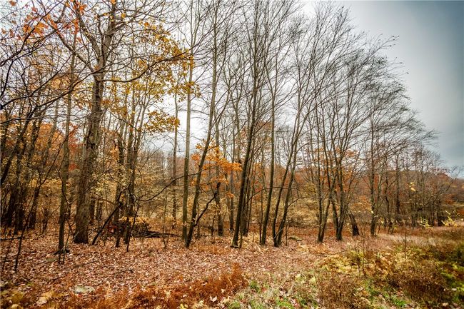 381 Lynx Ln, House other with 3 bedrooms, 2 bathrooms and null parking in Vintondale PA | Image 25