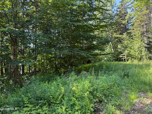 120 Jims Hill Rd, Lake Pleasant, NY, 12108 | Card Image