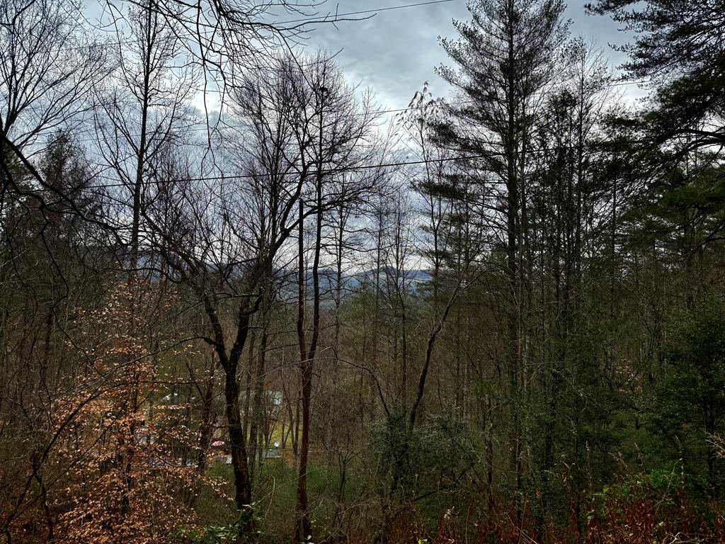 Land in Franklin