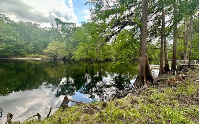 0 Ne 22 Nd Ct, Home with 0 bedrooms, 0 bathrooms and null parking in BRANFORD FL | Image 8