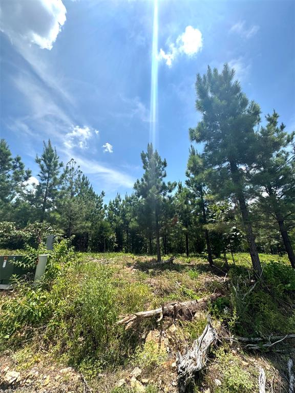 Land in Broken Bow 4