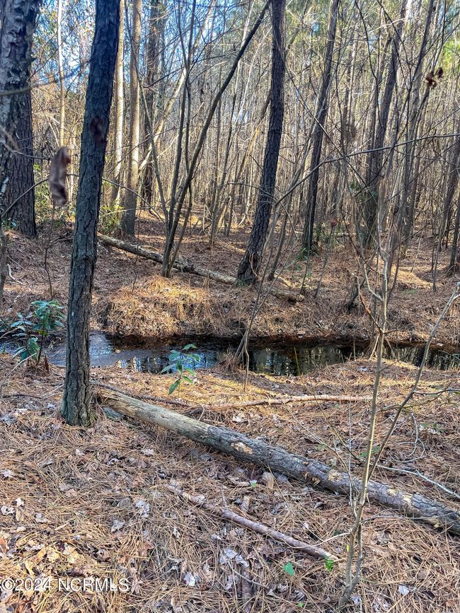 00 Sykes Town Rd, Home with 0 bedrooms, 0 bathrooms and null parking in Currie NC | Image 60