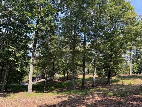 0 Madison Ln, Brasstown, NC, 28902 | Card Image