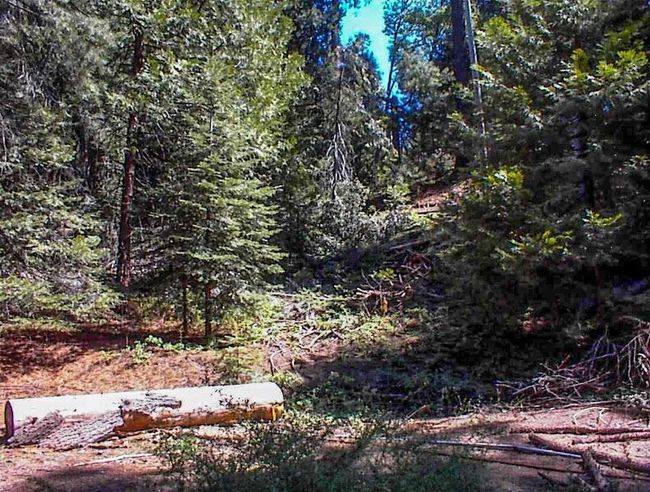 50248 E Kings Canyon Rd, House other with 5 bedrooms, 0 bathrooms and null parking in Dunlap CA | Image 34
