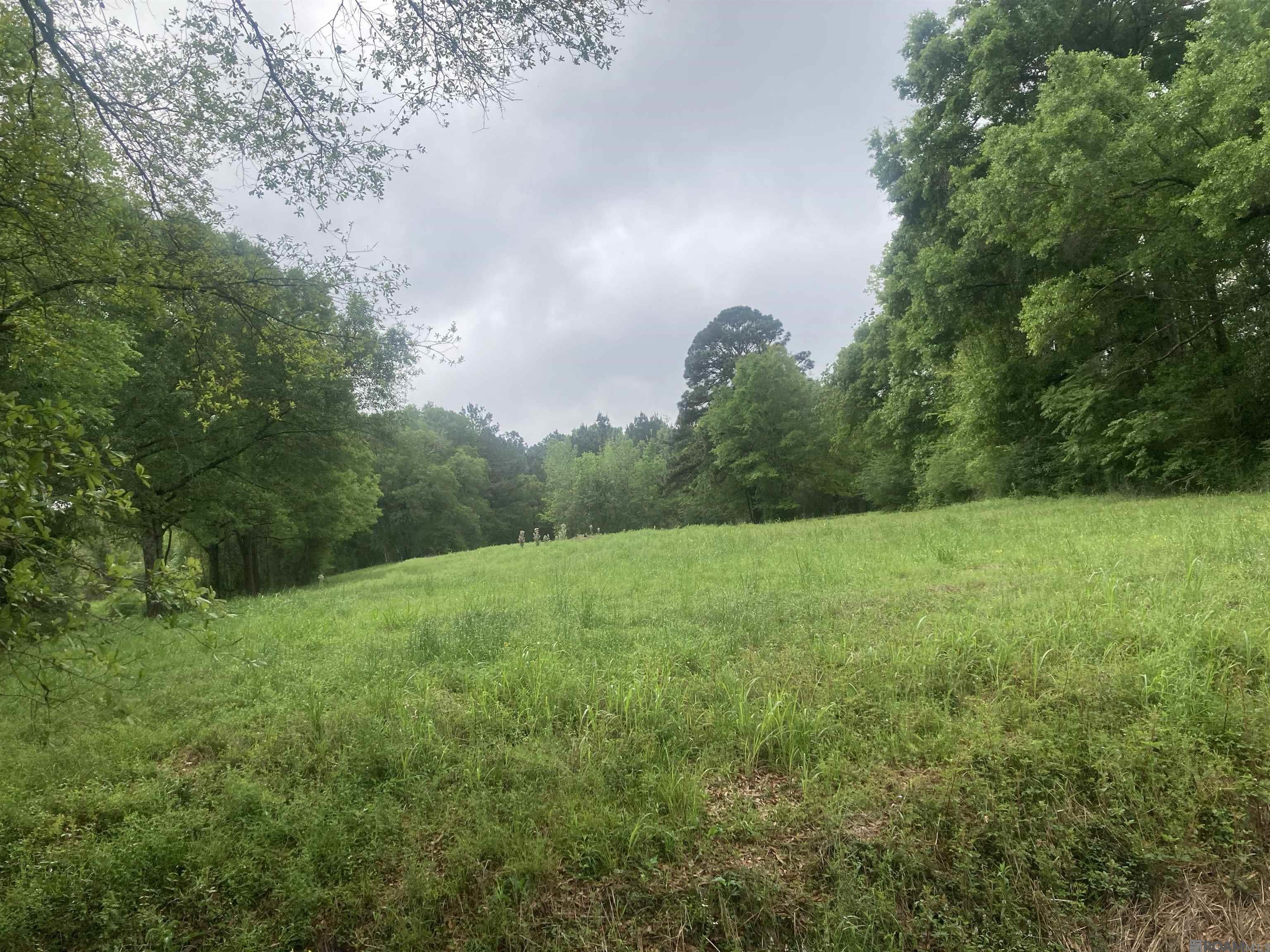 Land in Denham Springs