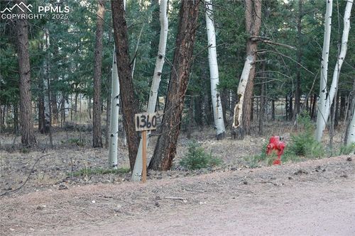 1360 Windflower Ln, Woodland Park, CO, 80863-7423 | Card Image