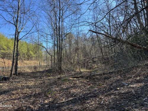 Lot 27 Blue Springs Way, Newport, TN, 37821-7395 | Card Image