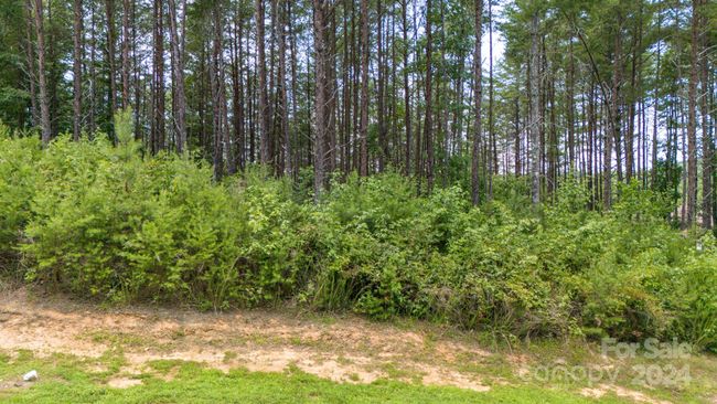 16 - 1710 Saylor Way, Home with 0 bedrooms, 0 bathrooms and null parking in Nebo NC | Image 13