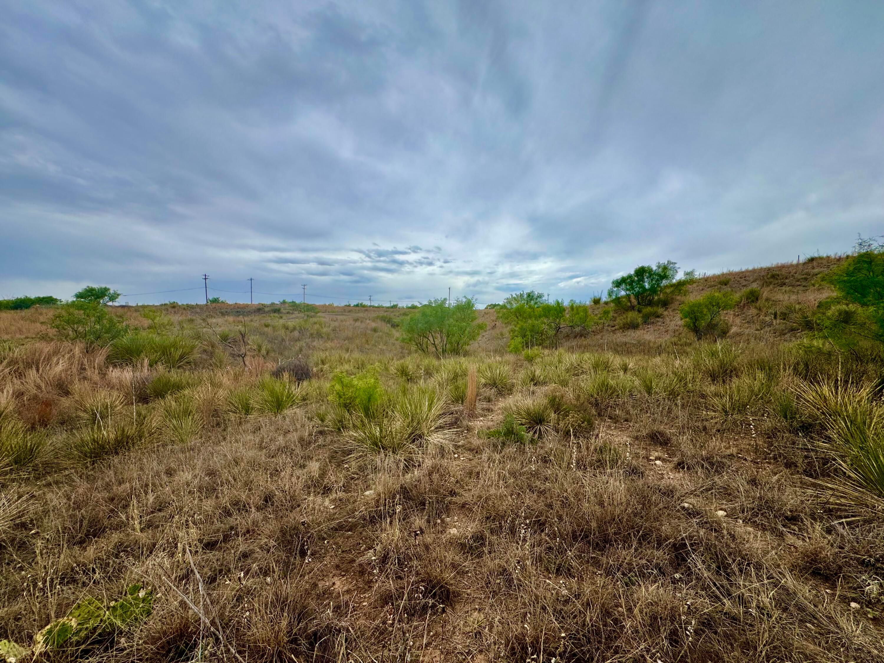 Land in Fritch