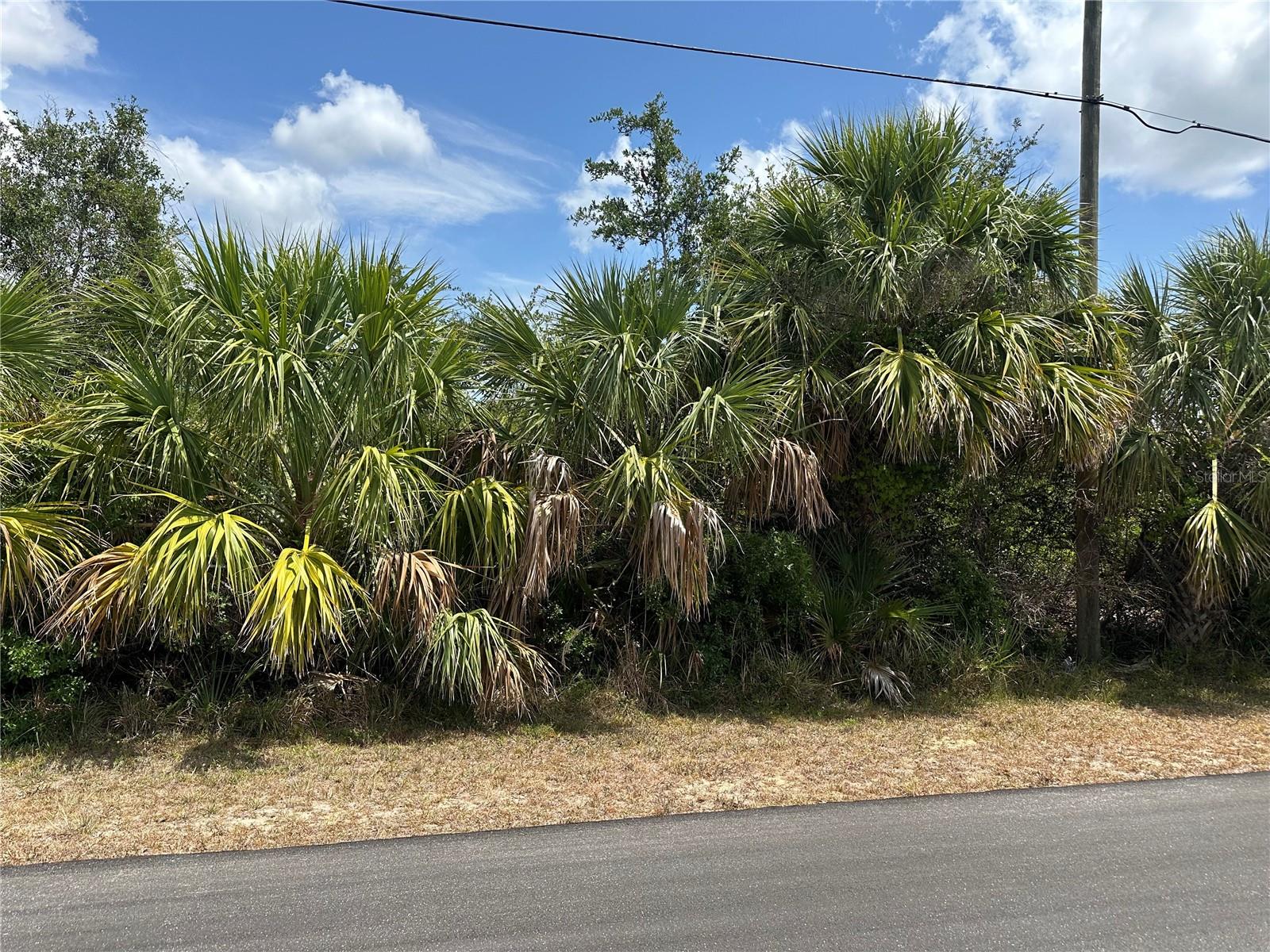 Land in PORT CHARLOTTE