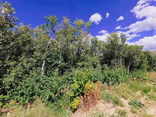 8-0 Monashee Cir, Lava Hot Springs, ID, 83246 | Card Image