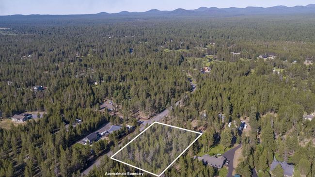 5-web-or-mls-DJI_0307 | Image 5