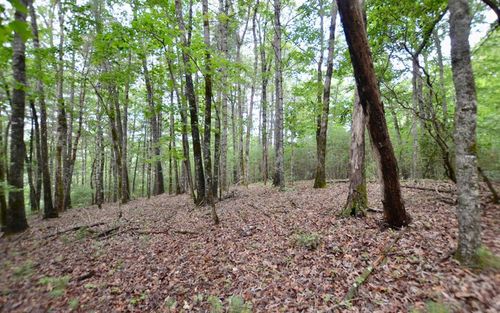 Lot 12 Hi River Country, Hiawassee, GA, 30546 | Card Image