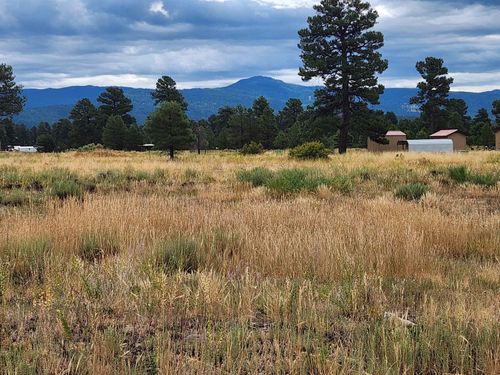 1352 Capulin Ln, Chama, NM, 87520-0080 | Card Image